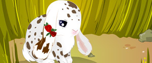 Bunny Buddy - miniatura gry
