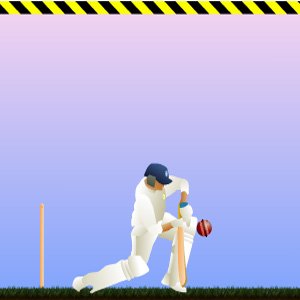 Cricket Game - miniatura gry