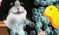 Paws to Beauty 2 - miniatura gry