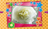 Picture Frame Decorator - miniatura gry